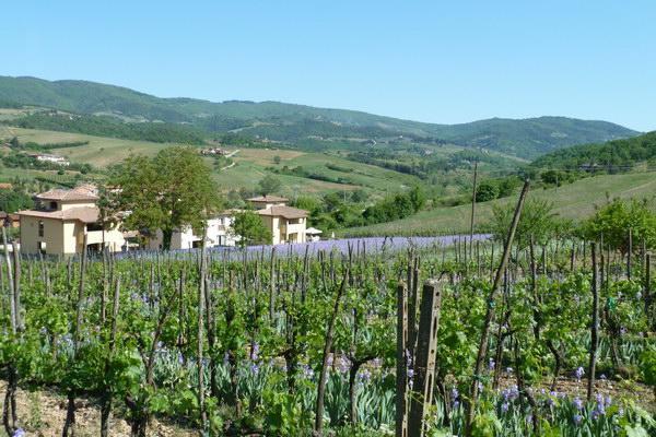 Villa Casa Rosa Greve in Chianti Esterno foto